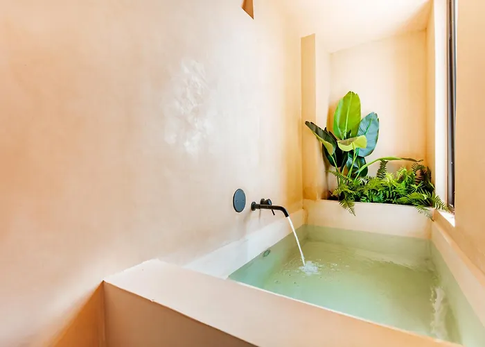 Apartamento With Plunge Pool Near The